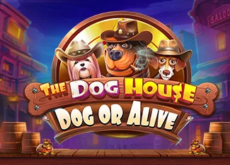 The Dog House Megaways Profesyonel Oyun Rehberi 2026